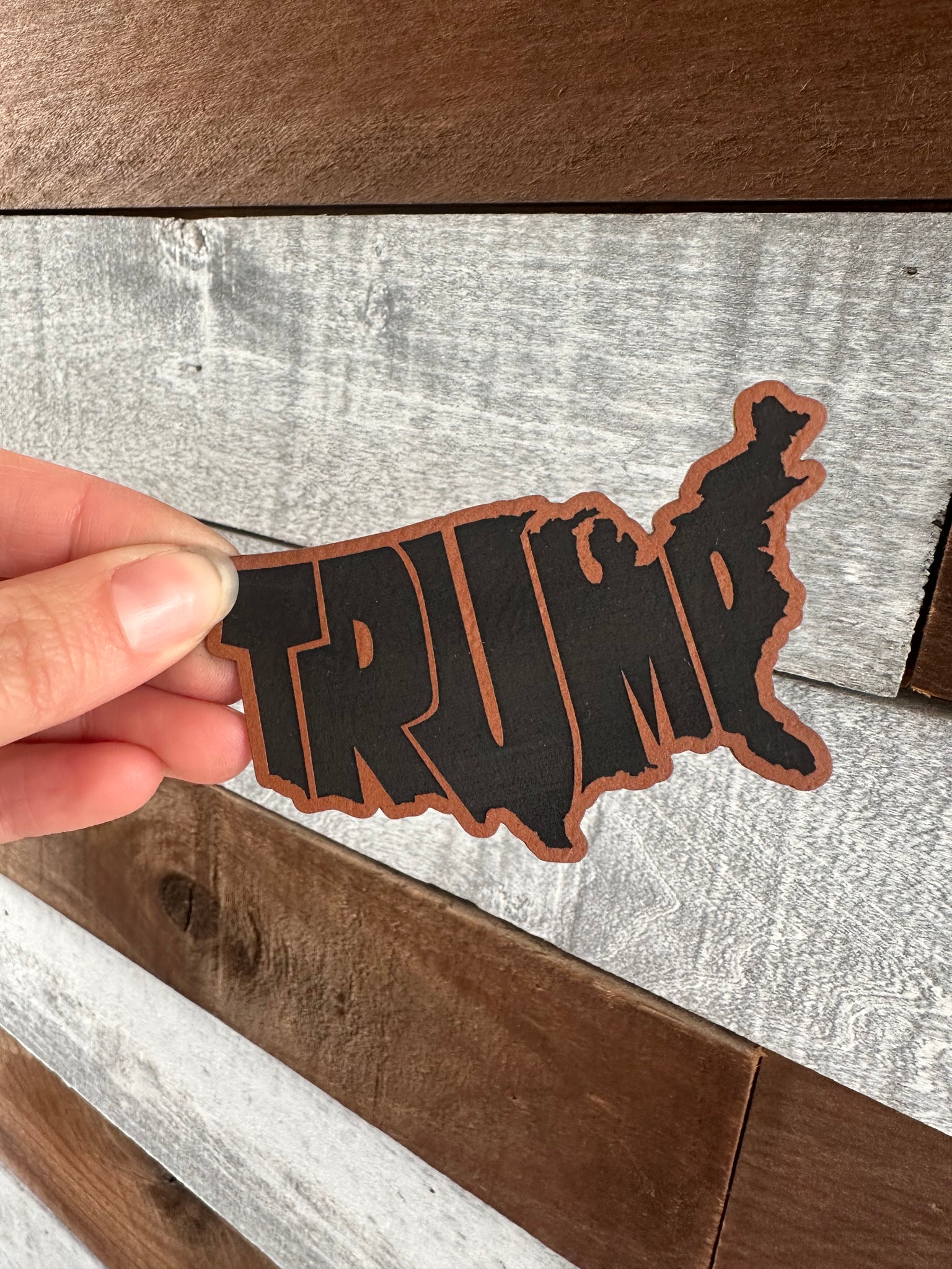 Trump USA Patch