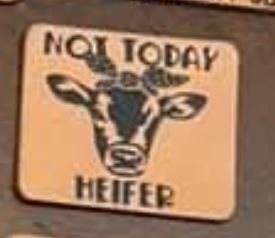 Not Today Heifer
